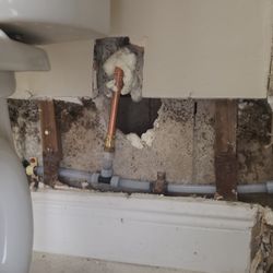 Claim Defenders - Plumber needed to open the wall in multiple areas to repair leaks. Water damage and plumbing access are both covered by insurance.