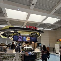 Mayorga Café