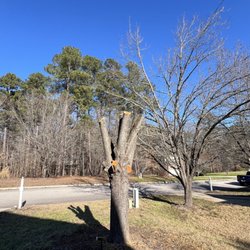 Wintergreen Landscaping