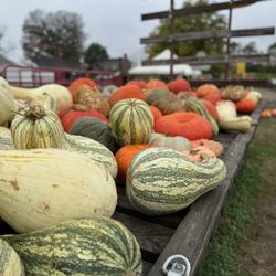 Brown's Family Farm Market