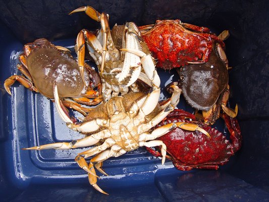 Embarcadero Resort Hotel & Marina by null