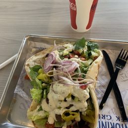 My huge gyro... My huge gyro...