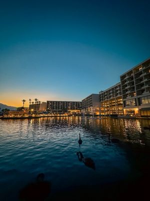 JW Marriott Desert Springs Resort & Spa by null