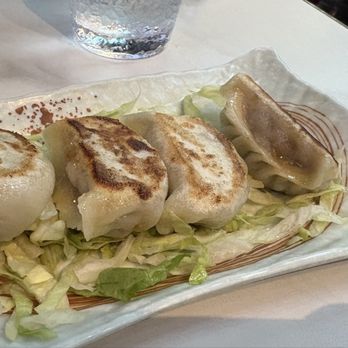 Juicy Dumplings - Beef fried dumplings (beef with Chinese cabbage, ginger and scallions) - Chinese Near Me - Euless, Texas