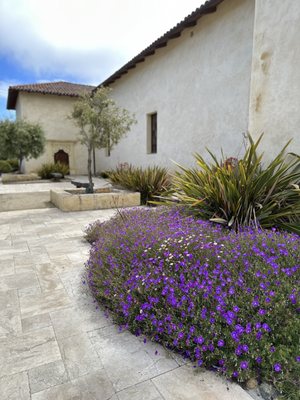 San Carlos Cathedral by null
