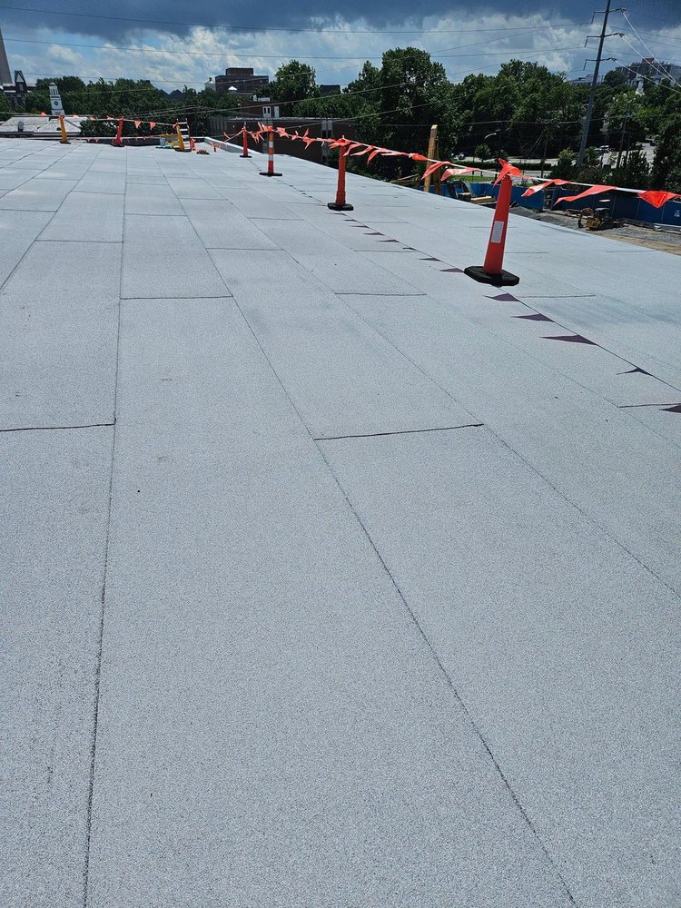 Slide of Tomas Roofer