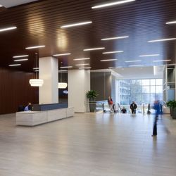 Classical Therapy - Main Lobby