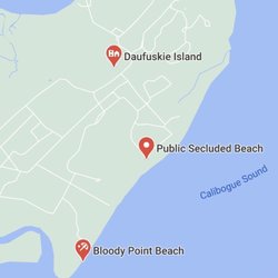 Public Secluded Beach - Public Secluded Beach, Daufuskie Island