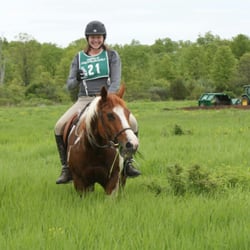 Lord Stirling Park Riding Stable - Hay look FRESH GRASS