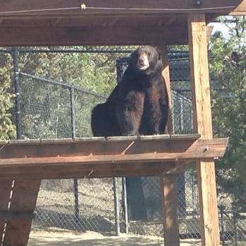 Animal Ark - Zoos Near Me - Reno, Nevada Animal Ark - Zoos Near Me - Reno, Nevada