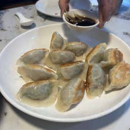 Pan Fried Pork and Leek Dumplings