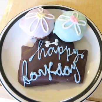 Polkadog Bakery - Happy Barkday treat and two pupcakes - Pet Stores Near Me - Boston, Massachusetts Polkadog Bakery - Happy Barkday treat and two pupcakes - Pet Stores Near Me - Boston, Massachusetts