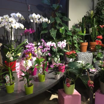 Passiflore - Florists Near Me - Guidel, 56