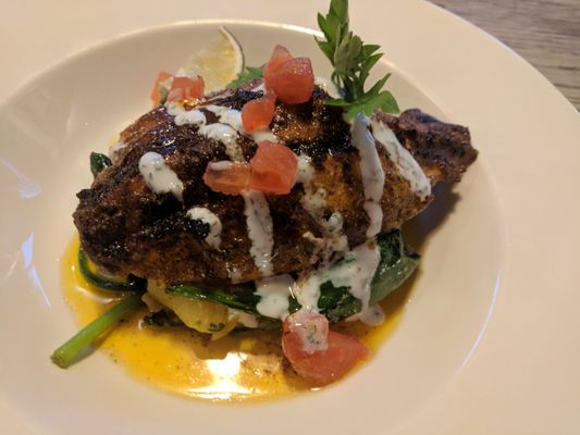 The Opposition by null