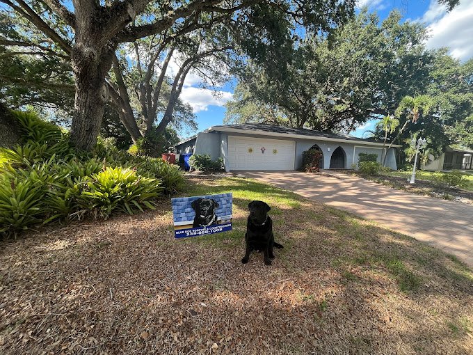 Slide of Blue Dog Roofing & Construction
