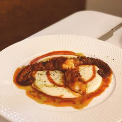 Adria - Octopus