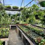 Photo of Perennial Gardens