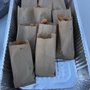 Photo of Batter Up Churros