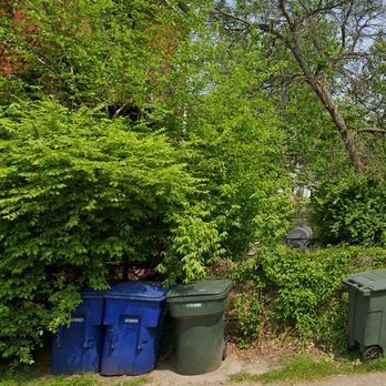 Maxima's Tree Service - Before (rear yard) - Tree Services Near Me - St. Louis, Missouri