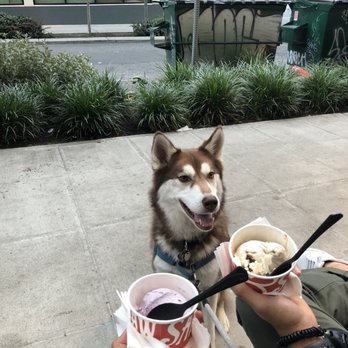 Salt & Straw - Ice Cream & Frozen Yogurt Near Me - Seattle, Washington