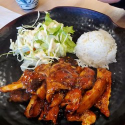 Honto Teriyaki II - Spicy chicken teriyaki