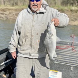 SalmonSacRiver