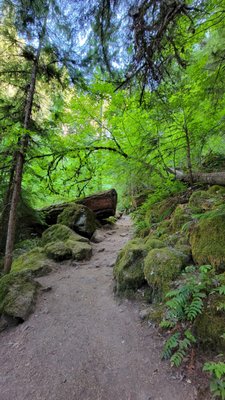 Watson Falls by null
