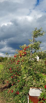 DuBois Farms by null