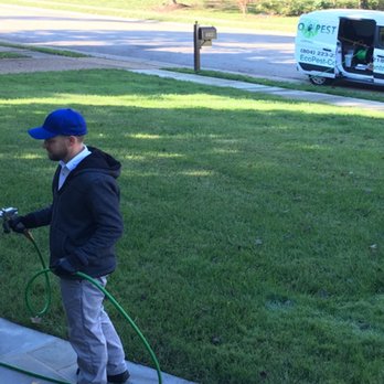 Eco Pest Control - Kevin in action. We call him "Dead Eye". One shot. One kill. - Pest Control Near Me - Glen Allen, Virginia Eco Pest Control - Kevin in action. We call him "Dead Eye". One shot. One kill. - Pest Control Near Me - Glen Allen, Virginia