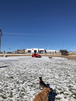 willow creek dog park