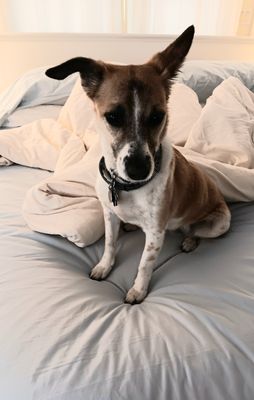 Inn On Columbia by null