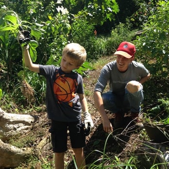 Conservation Adventure Tour - A young Conservation Adventure Tour participant learns about invasive plans from a naturalist. - Tours Near Me - Kaneohe, Hawaii