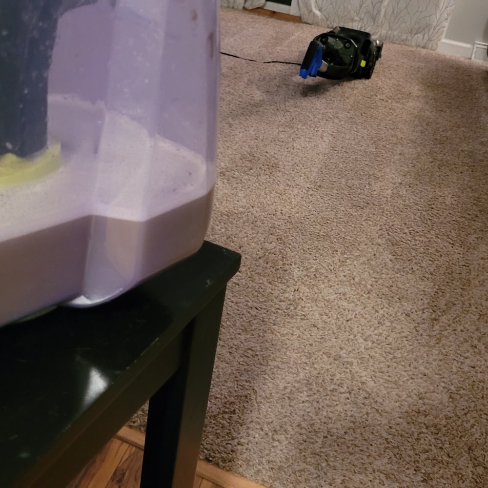 Stanley Steemer - 4 - Carpet Cleaning Near Me - Byron Center, Michigan Stanley Steemer - 4 - Carpet Cleaning Near Me - Byron Center, Michigan