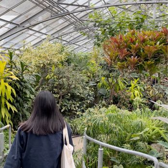 Allan Gardens - Parks Near Me - Toronto, Ontario