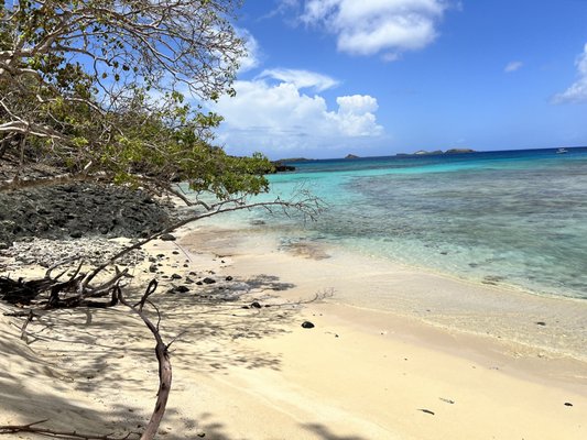 Cayo Luis Peña by null