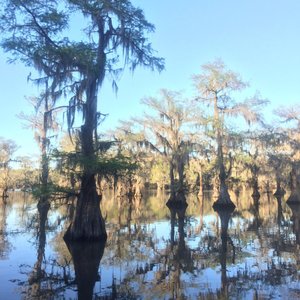 Hodge Podge Cottages Vacation Rentals 724 Cypress Dr