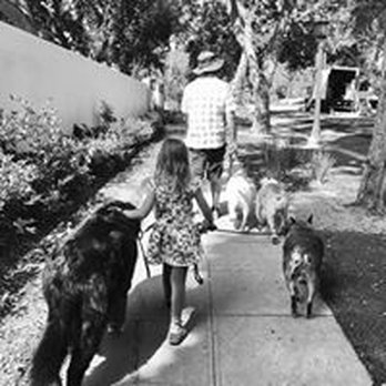 Pasadena Paws - Chris with a little helper! - Dog Walkers Near Me Pasadena Paws - Chris with a little helper! - Dog Walkers Near Me