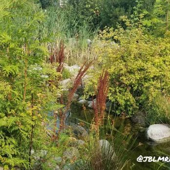 Tacoma Nature Center - Venues & Event Spaces Near Me - Tacoma, Washington Tacoma Nature Center - Venues & Event Spaces Near Me - Tacoma, Washington