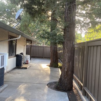 Eli Tree Service - Tree Services Near Me
