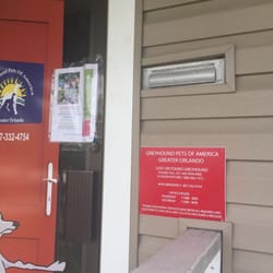 Greyhound Pets of America Greater Orlando
