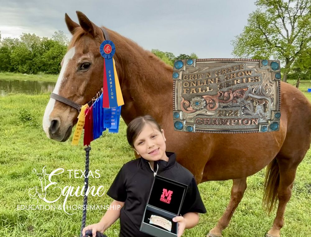 Social spots from Texas Equine Education & Horsemanship