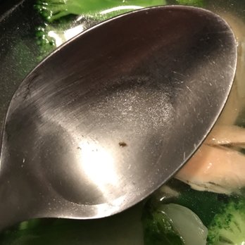 Love Pho Cafe - More bugs - Vietnamese Near Me - Thousand Oaks, California Love Pho Cafe - More bugs - Vietnamese Near Me - Thousand Oaks, California