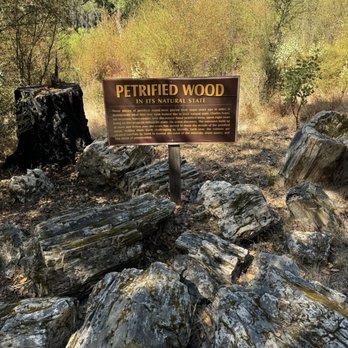 The Petrified Forest - Parks Near Me - Calistoga, California The Petrified Forest - Parks Near Me - Calistoga, California