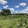 Photo of Everoak Farm