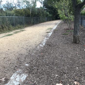 Greer Park - There is a dog section. - Parks Near Me - Palo Alto, California Greer Park - There is a dog section. - Parks Near Me - Palo Alto, California