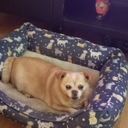 Chica-San Chica-San
