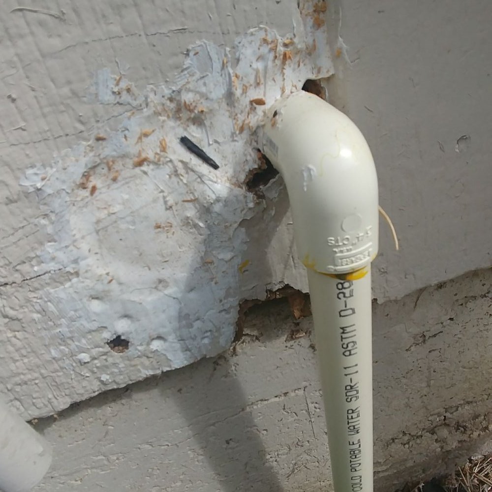 Orco Termite - The work you can expect - Home Inspectors Near Me Orco Termite - The work you can expect - Home Inspectors Near Me