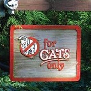 For Cats Only - Pet Sitting Near Me - Chardon, Ohio