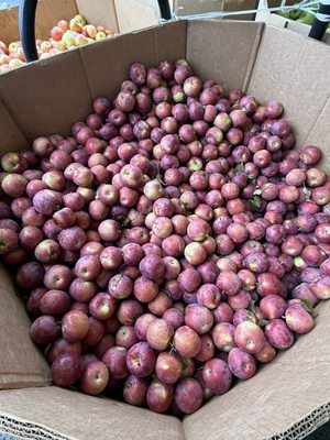 NetCost Market by null