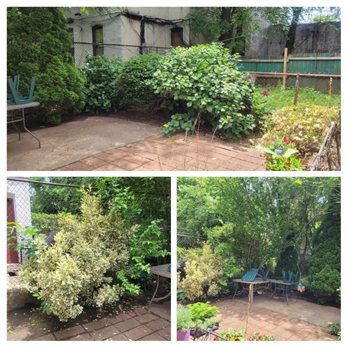 CountryMan Tree Service - Before picture - Tree Services Near Me CountryMan Tree Service - Before picture - Tree Services Near Me